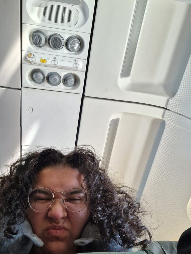 The_global_entity_flying_to_South_Africa