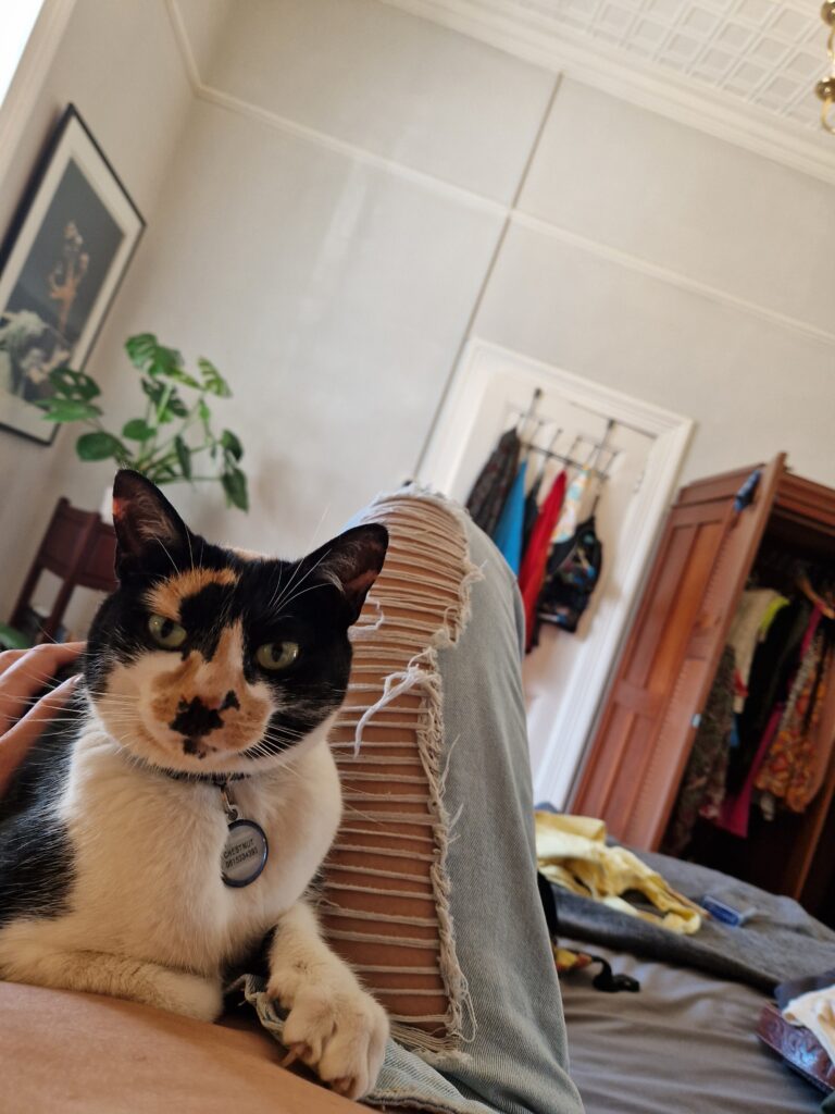 Theglobalentity_problems_of_airbnb_and_gentrification_South_africa