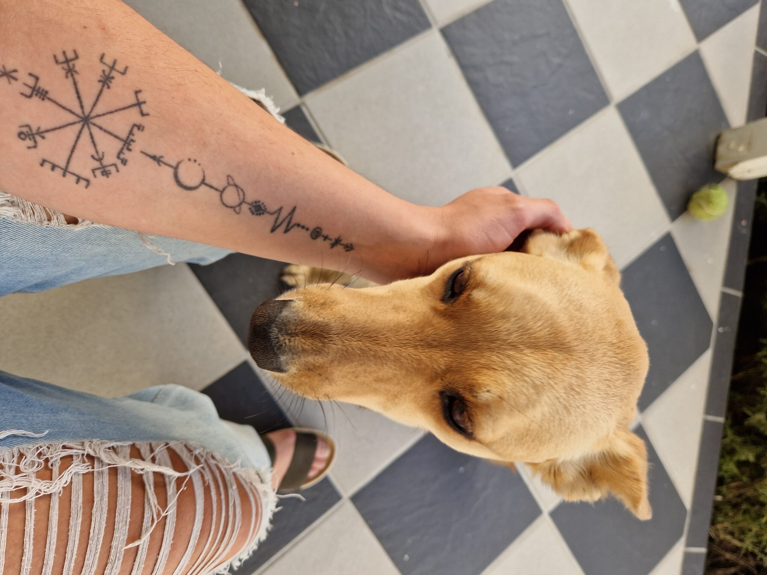 The_global_entity_tourist_guide_observatory