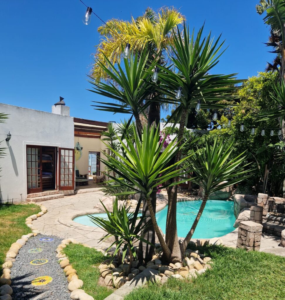 The_global_entity_nice_hostel_blouberg