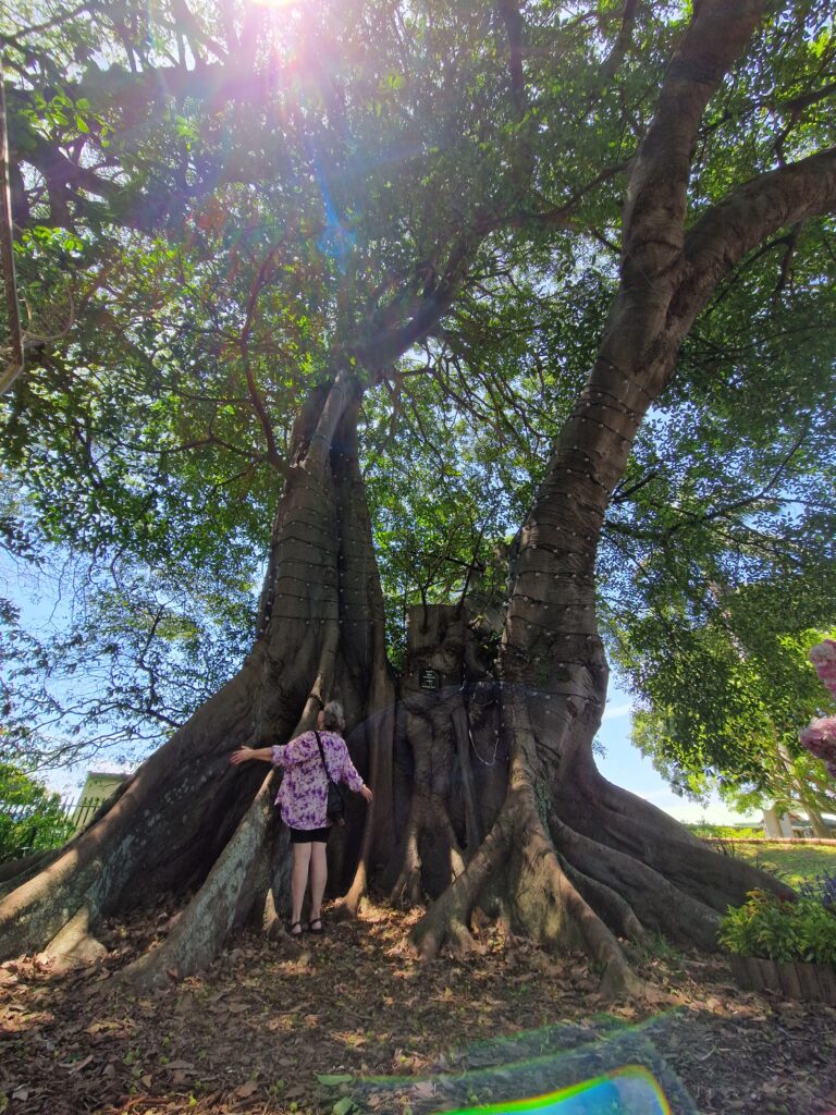 the_global_entity_botanical_garden_durban