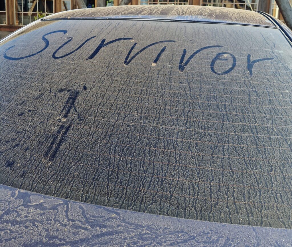 The_Global_Entity_visa_trouble_solo_traveling