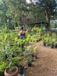 theglobalentity_Solo_Traveling