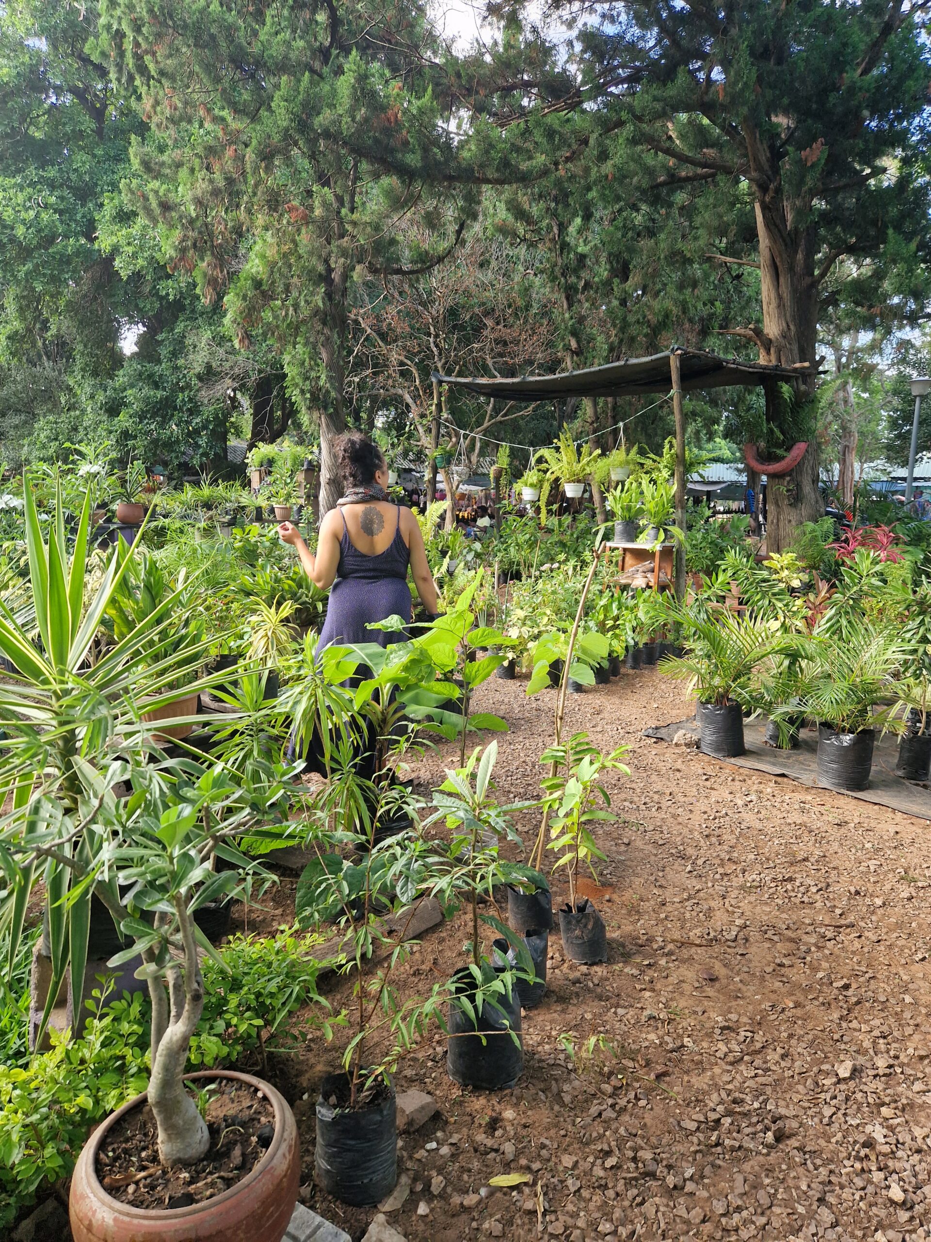 theglobalentity_Solo_Traveling