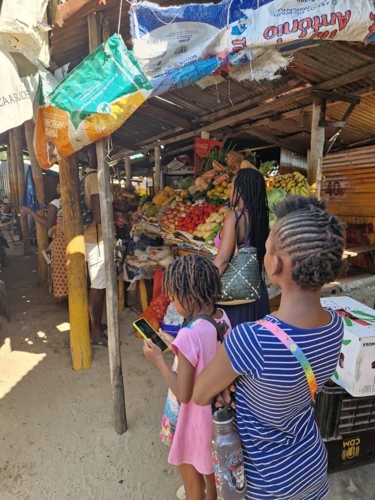 The_global_entity_Slow_traveling_and_sustainable_tourism